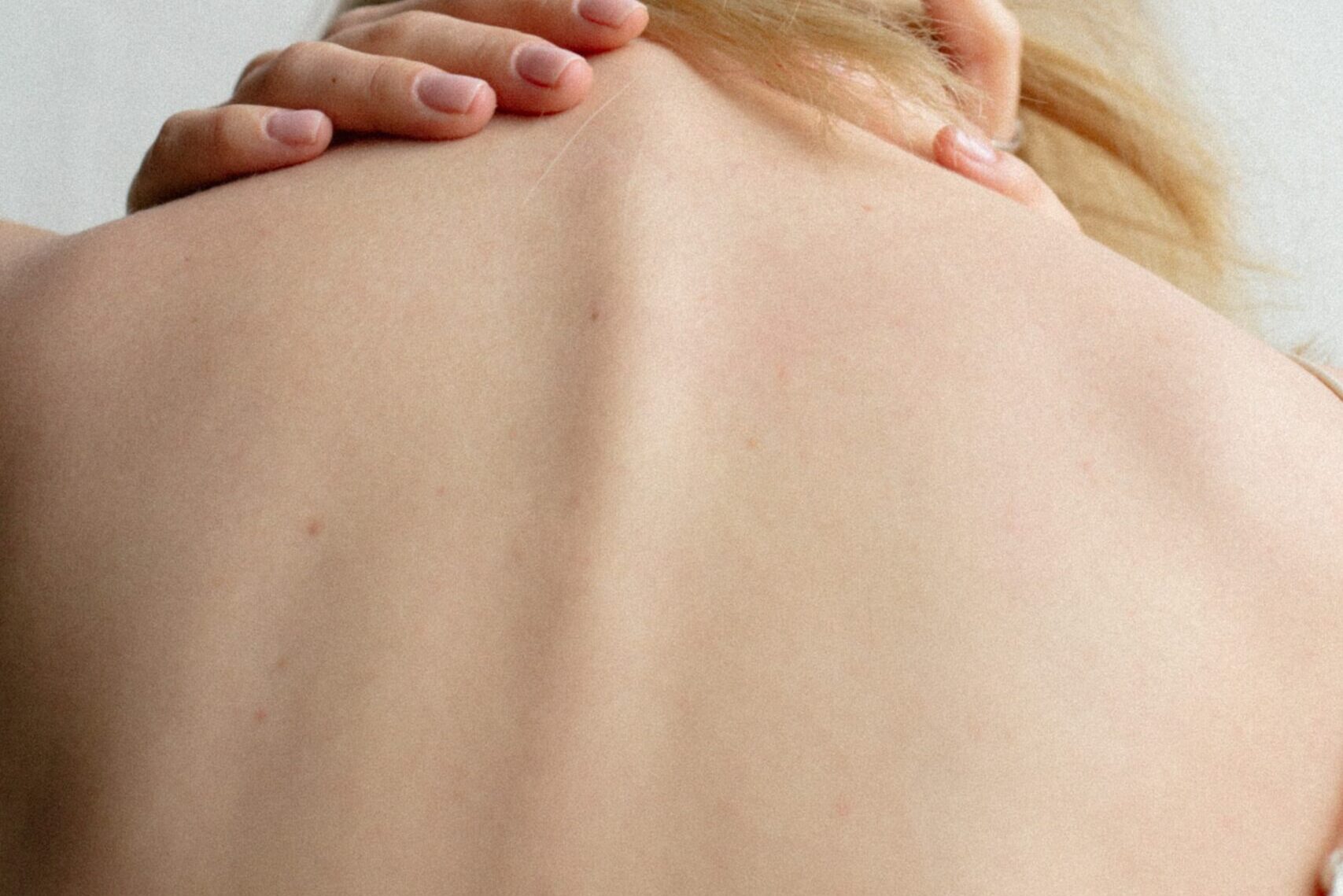 spine